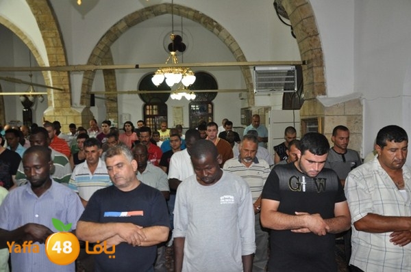 trawe7 7san bek 715 (2).JPG